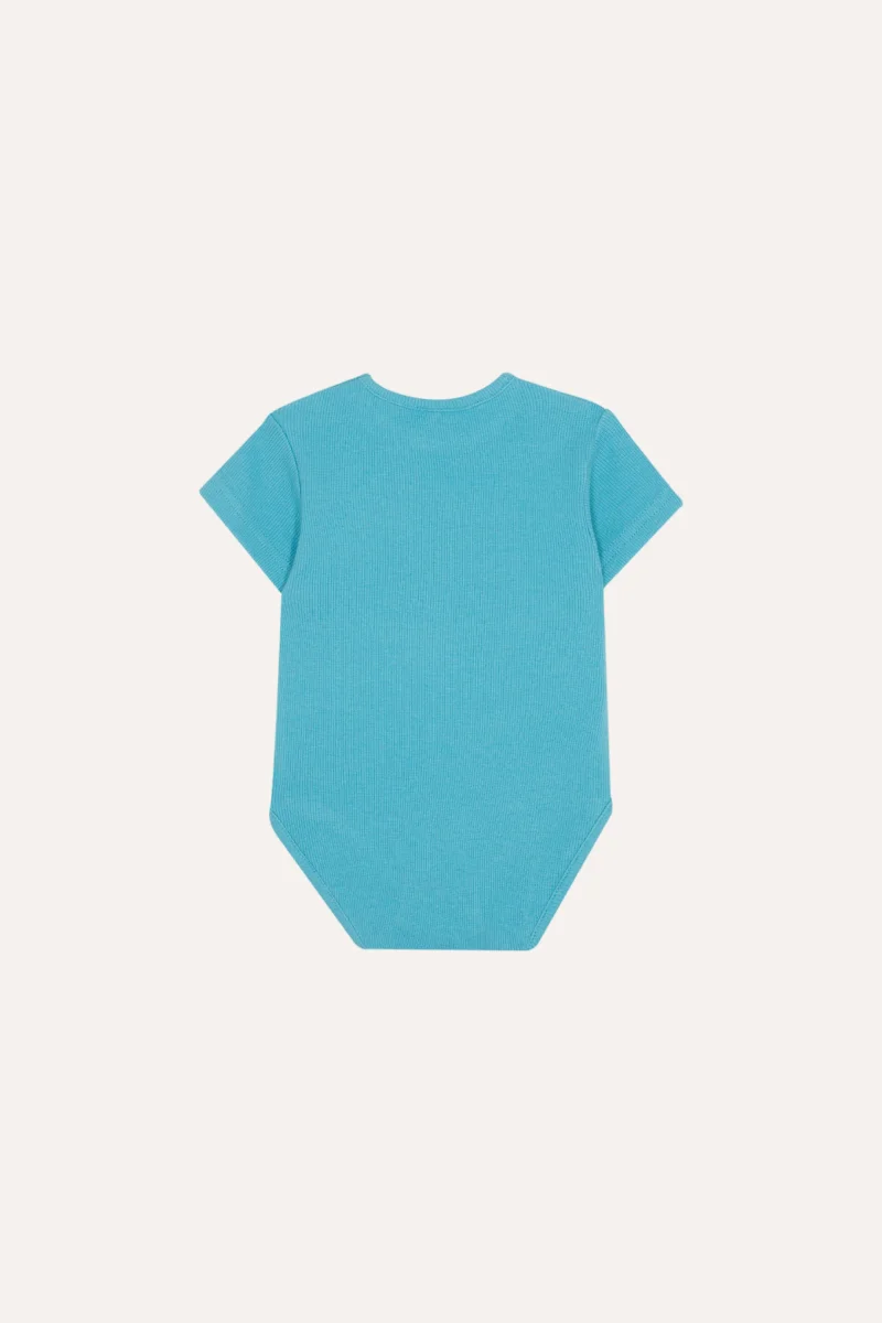 Blue Ladybug Baby Body